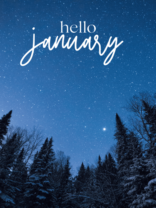 january (1) (1)
