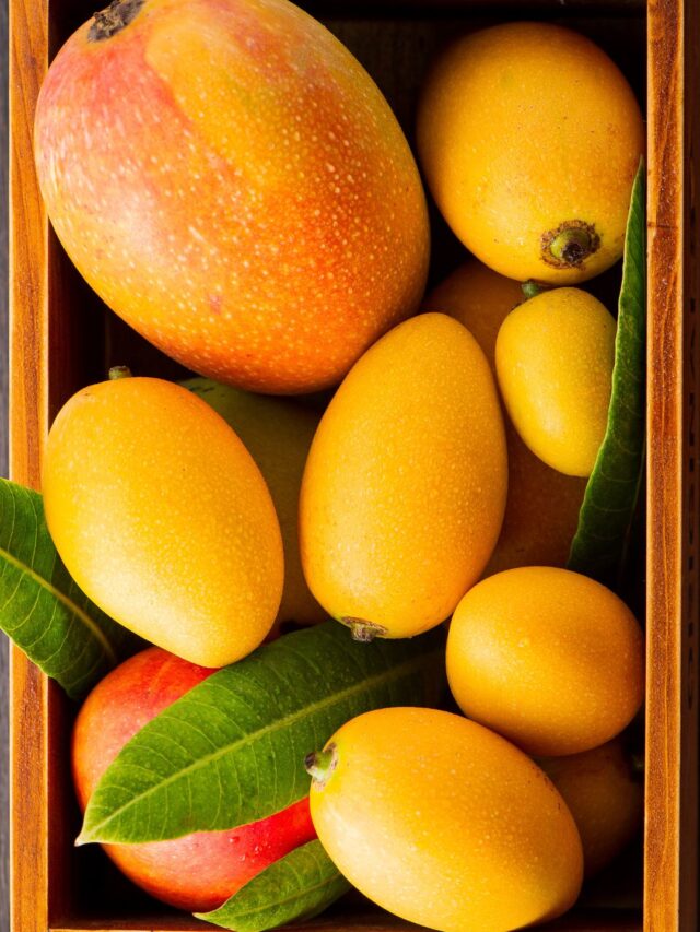 12000 Rs A Mango Story Behind Most Costly Mangoes Famous India