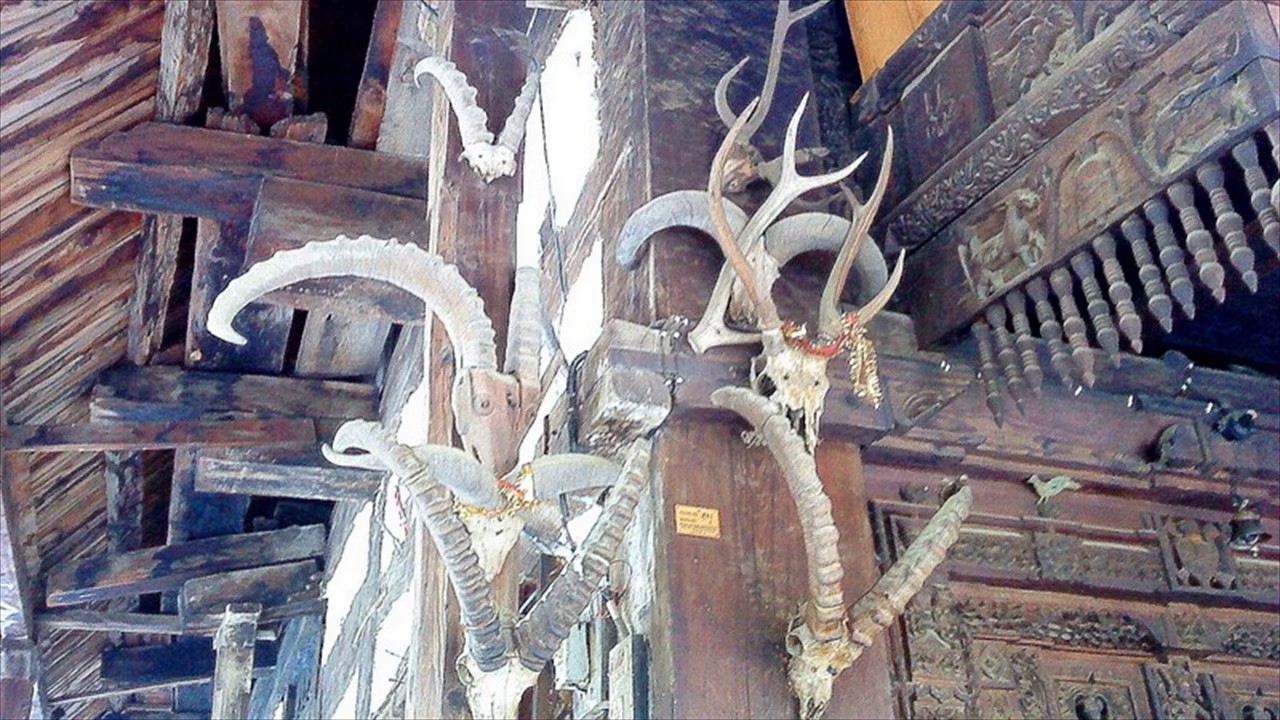 hadimba-temple-manali