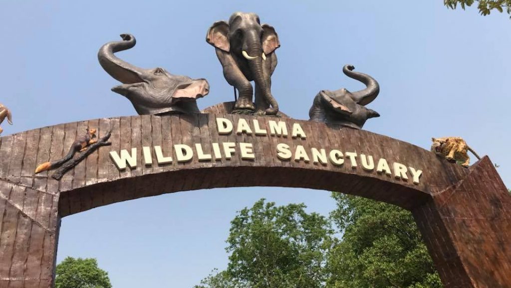 Dalma-Wildlife-Sanctuary