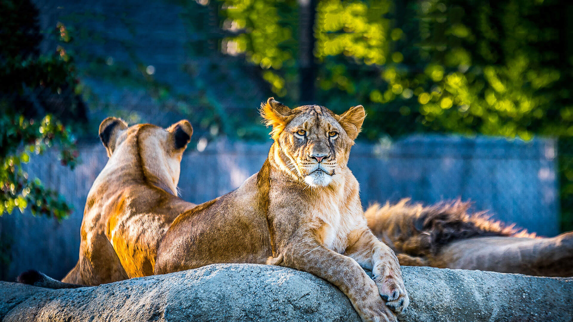 Tata-Zoological-Park