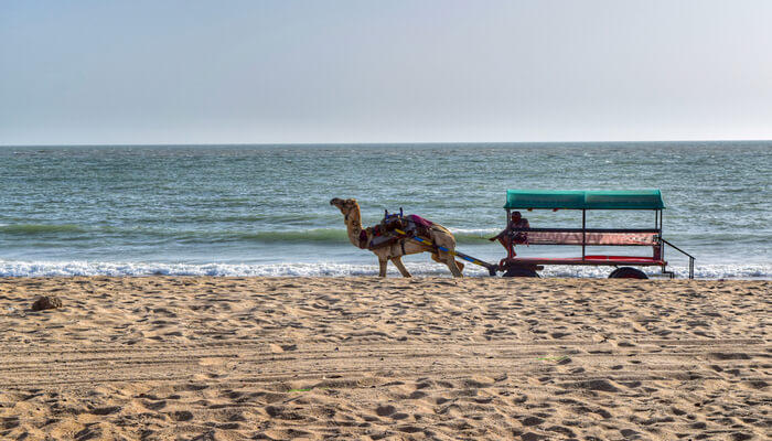 Beaches-in-surat