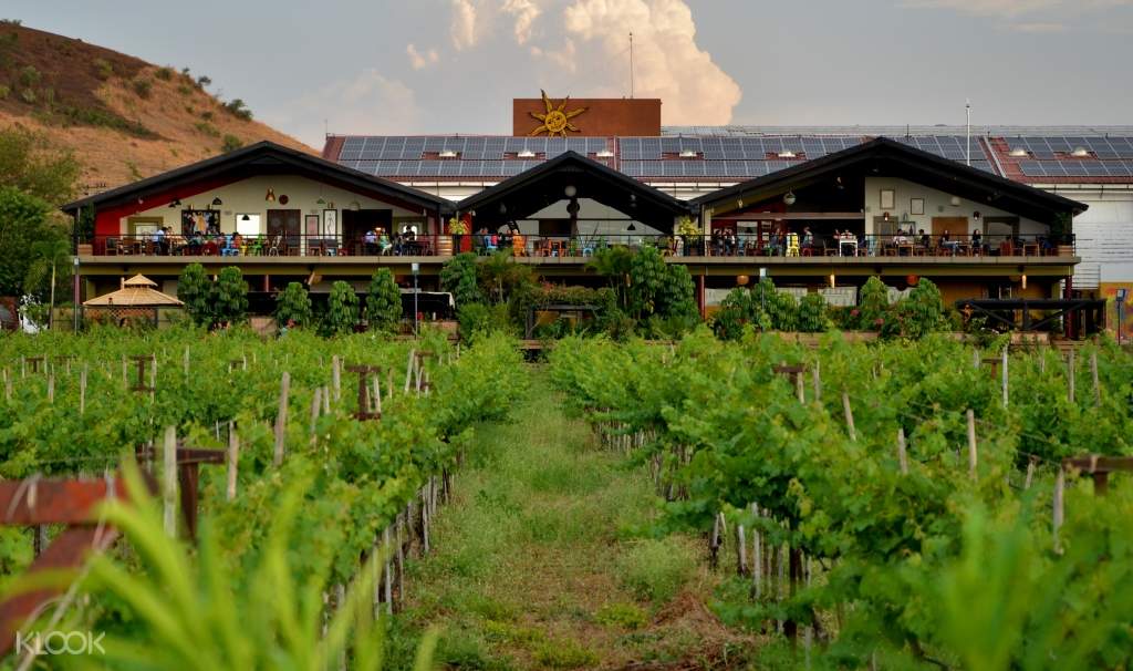 Sula-Vineyards