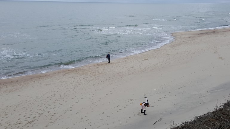 Fresh-air-beach