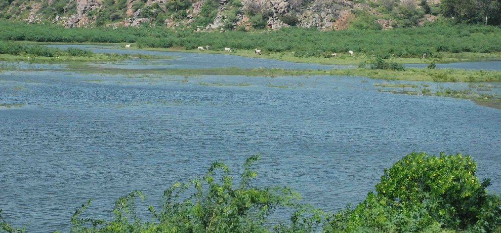 Badkhal-Lake