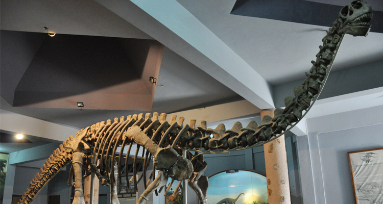 Birla-Museum