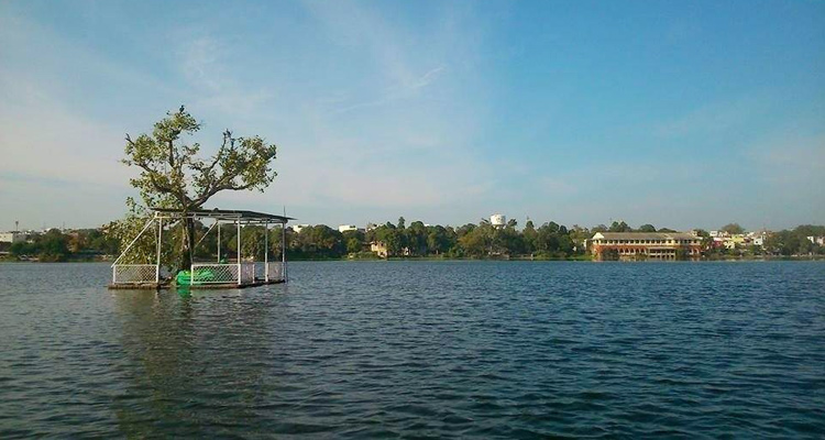 Lower-Lake