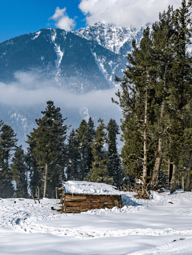 snowfall in january (1)