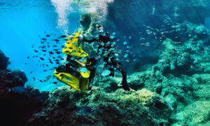 Scuba Diving in Kerala