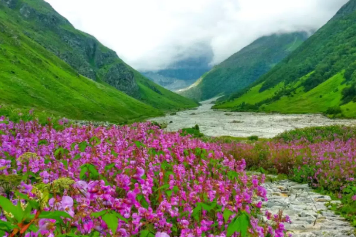 Valley of Flowers